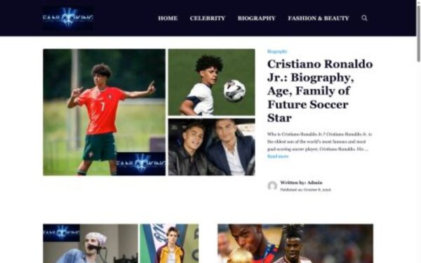 Homepage of fanlooking.com